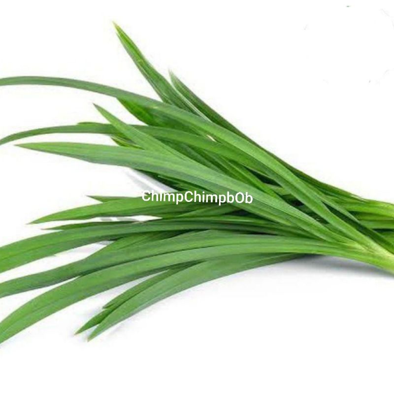 

DAUN PANDAN SEGAR 1 IKAT / PANDAN LEAVES FRESH