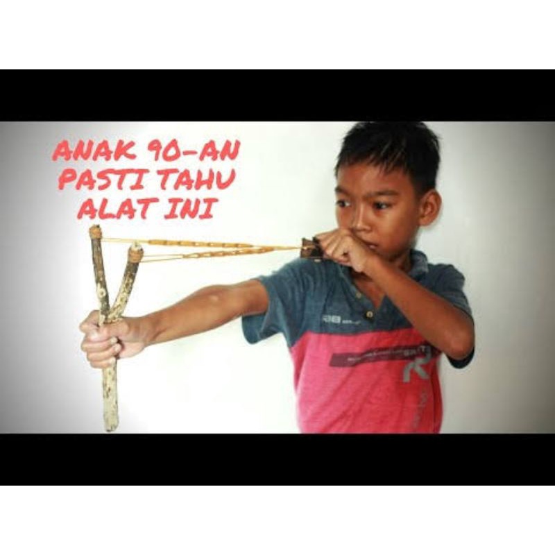 ketapel kayu jambu batu