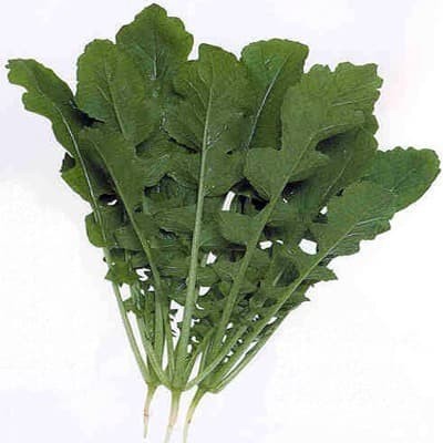 

Daun Lobak Organik 200gr