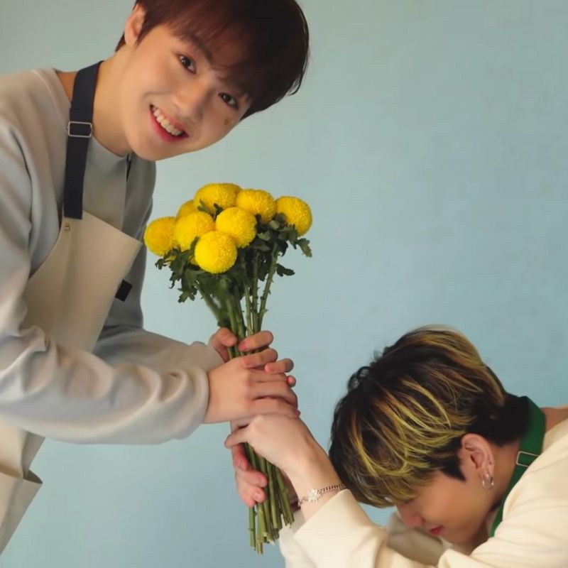 

buku diari lucu motif