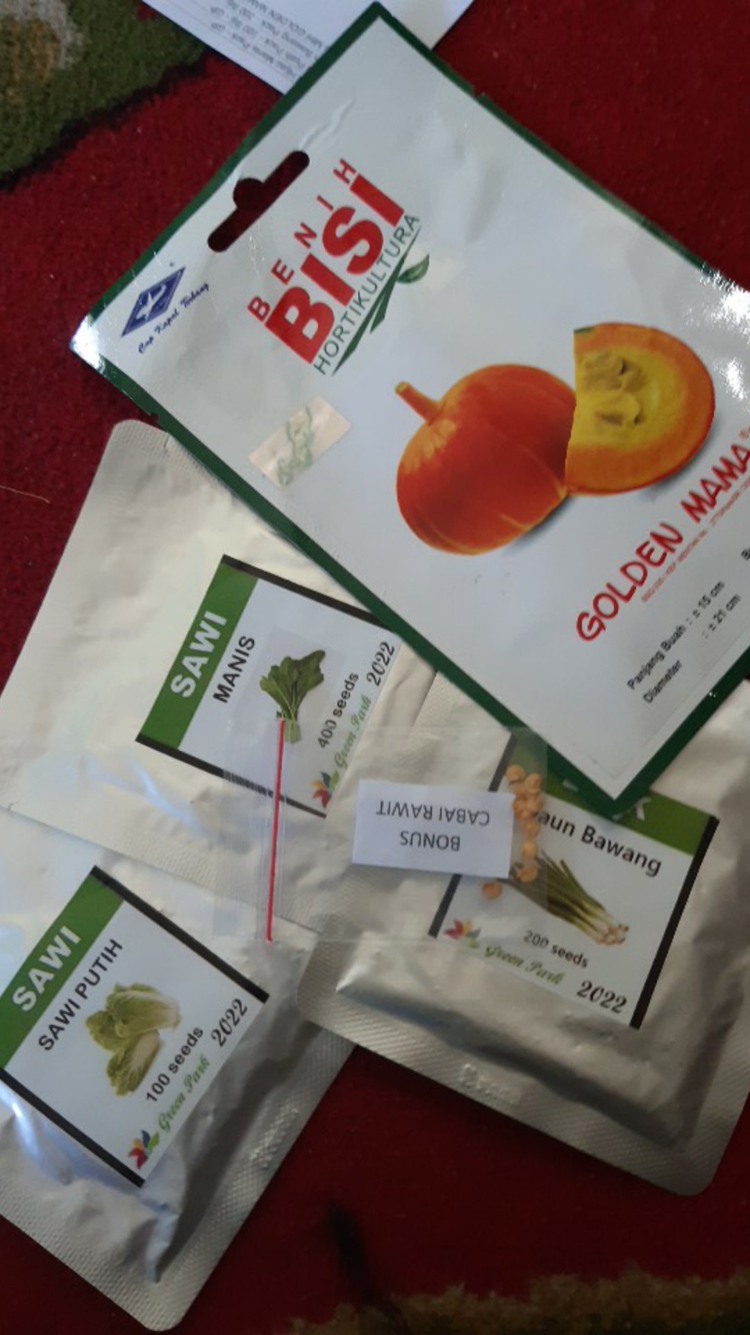 Benih Biji Sawi Putih Pack - 100 Biji - Gp