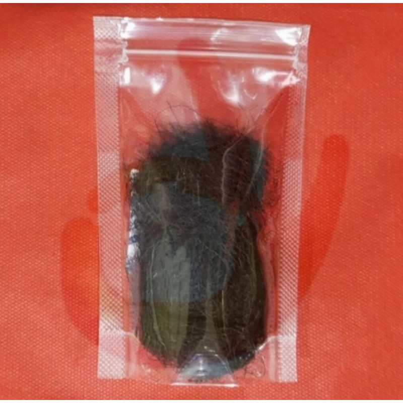 

Sayur Rambut Huat Chai 10GR