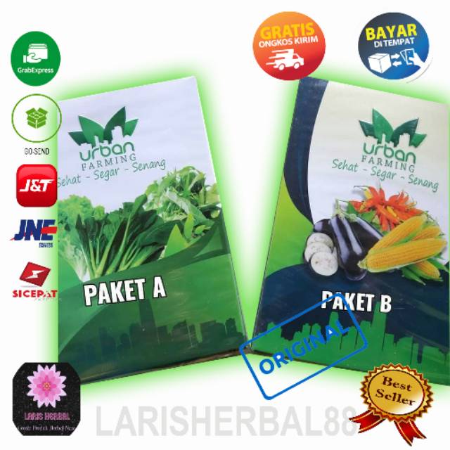 Paket tanaman Hidroponik Lengkap benih llus pupuk