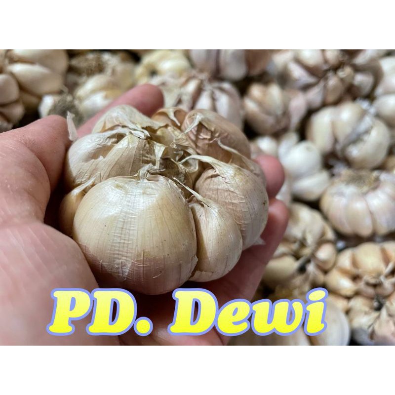 

bawang banci 1 kg