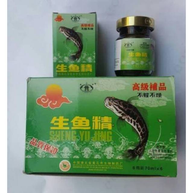 Sheng Yu Jing Saripati Ikan Gabus Haruan Isi 6 Botol Shopee Indonesia