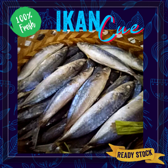 

IKAN CUE/ PINDANG KECIL / CUE SALEM SEGAR Per PACK / KERANJANG ISI 2 PCS