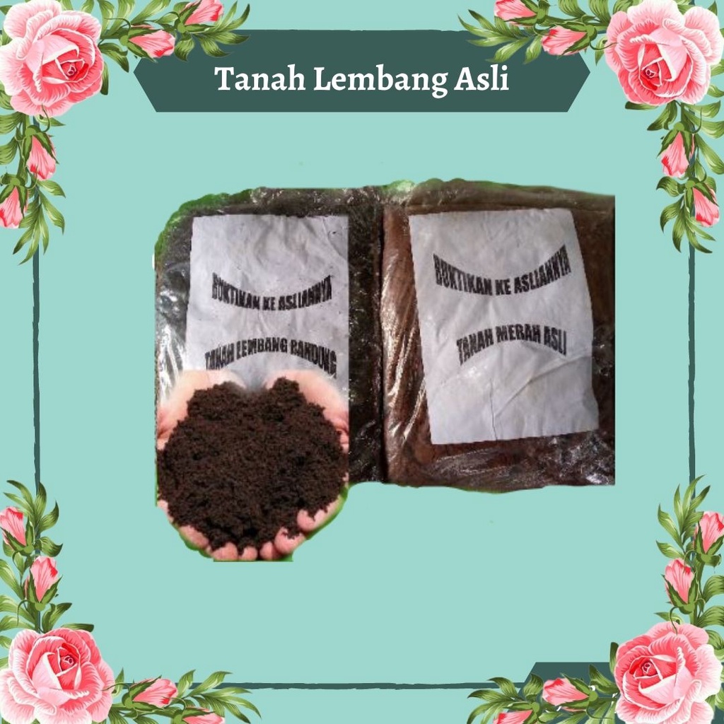 Tanah Merah Tanah Lembang Hitam Media Tanam Subur