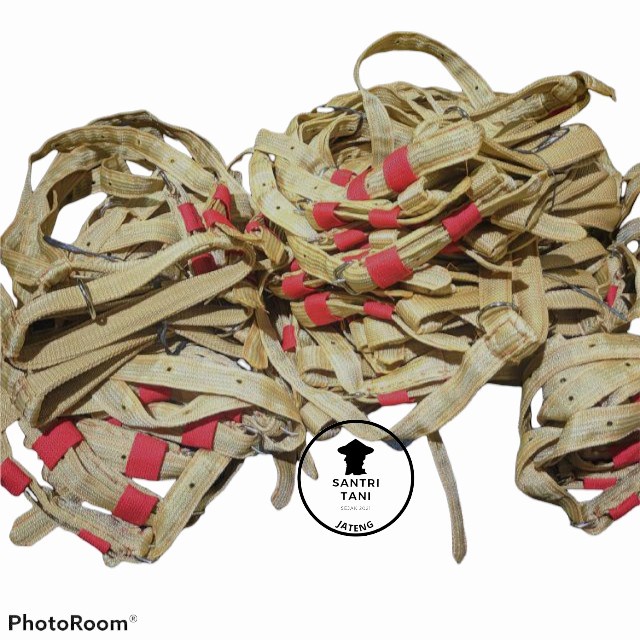 Tali Brangus Keluh Kepala Sapi Anakan