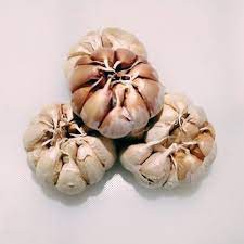 

Bawang Putih BACI