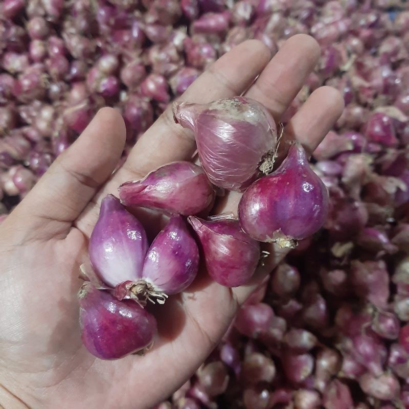 

Bawang Merah
