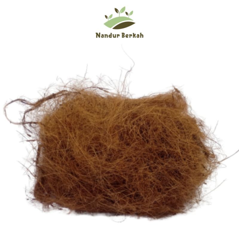 

SERABUT KELAPA 100gr