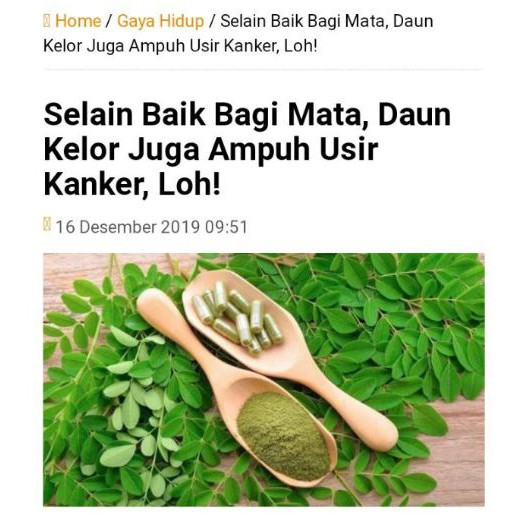 HALAL HERBAL Asi Booster MOM Pelancar Asi / 100 Kapsul kelorcap kelor kapsul booster asi