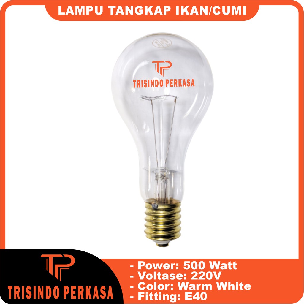 Lampu Tangkap Cumi / ikan Fishing Lamp 500W 220V