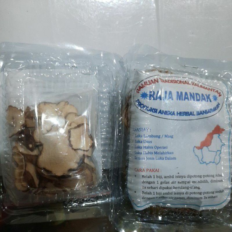 

buah raja mandak (obat luka dalam)