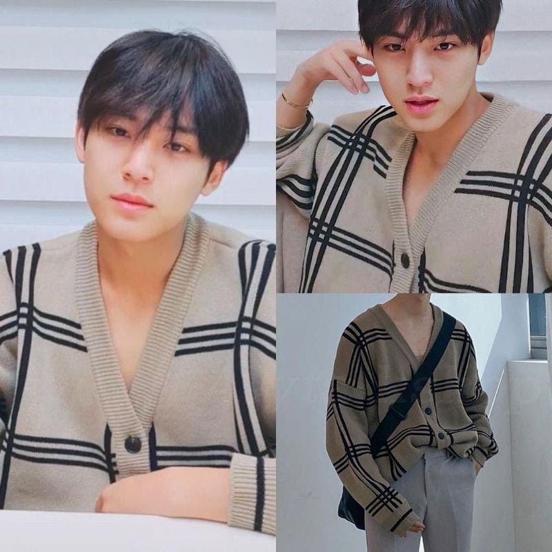 CARDIGAN COWOK / CEWEK MINGYU SEVENTEE LD 140 UKURAN XXL