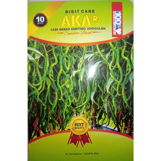 

CABE MERAH KERITING AKAR