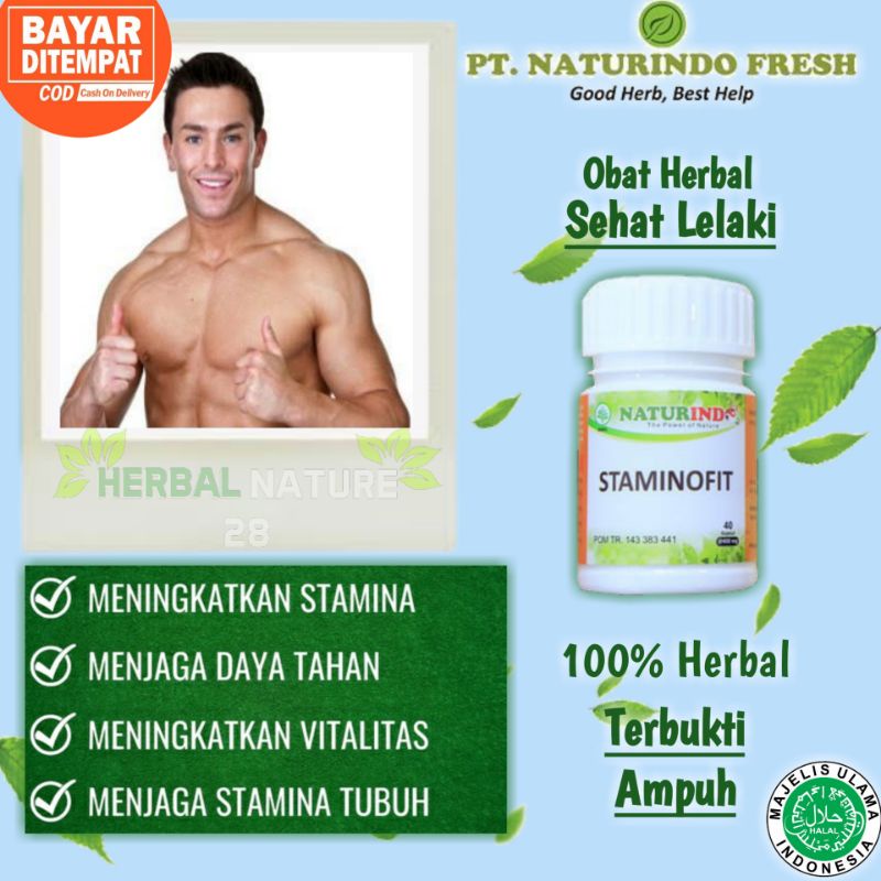 Obat Sehat Lelaki Obat Kuat Laki-laki Penambah Stamina Pria Staminofit jamu sehat Naturindo