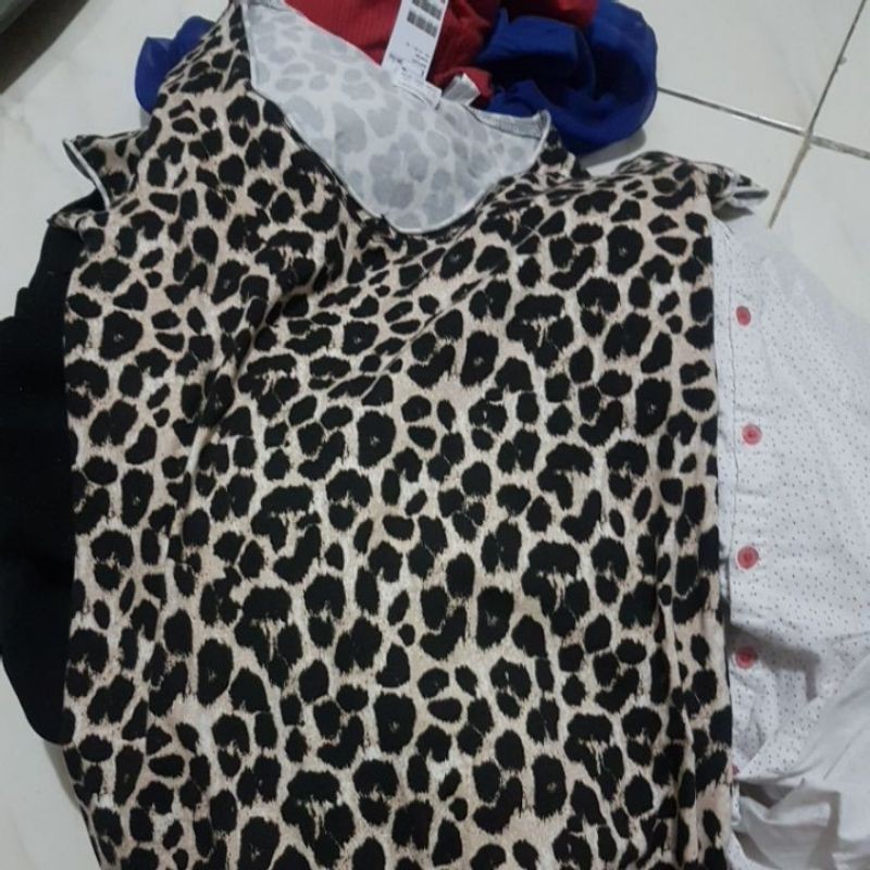 link kk wola