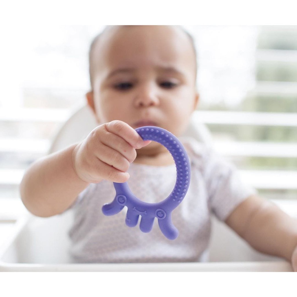 dr brown's fleexes friends / teether octopus / gigitan bayi te006