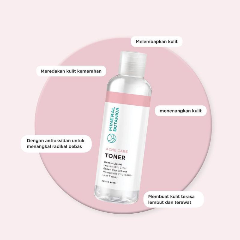 mineral botanica acne care perfect purifying toner