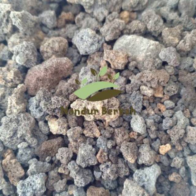 

Pasir Malang Kemasan 1 Kg