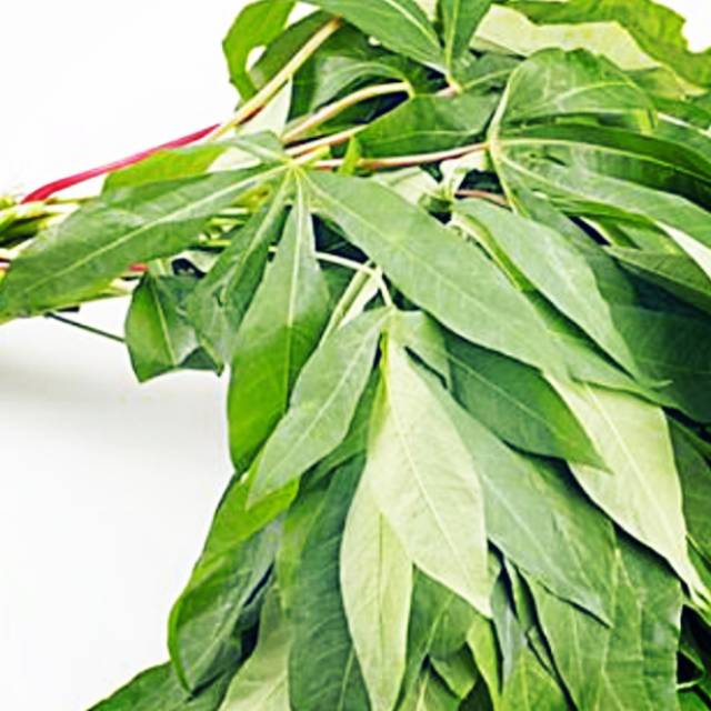 

Daun Singkong Organik 250g Sayur Sehat Bogor