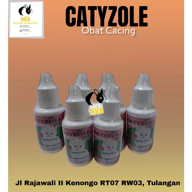 Catyzole Drop 30ml Obat Anti Cacing Kucing Cat Kitten 30 ml