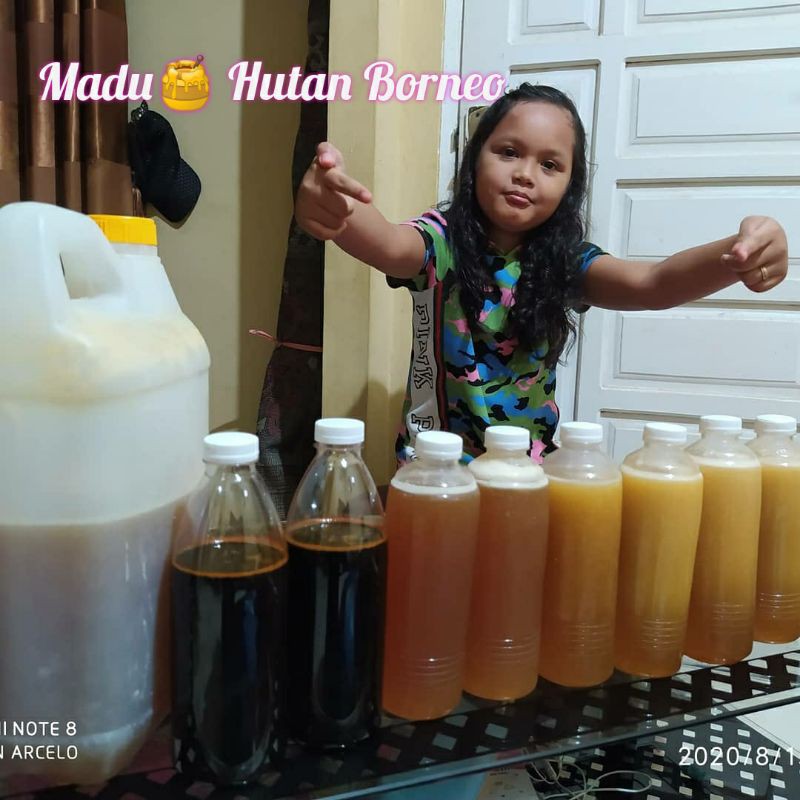 

Madu Hutan Borneo (garansi uang kembali apabila tidak asli) 500ml/botol