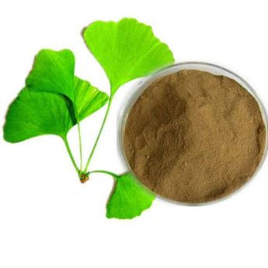 

Ginko Biloba