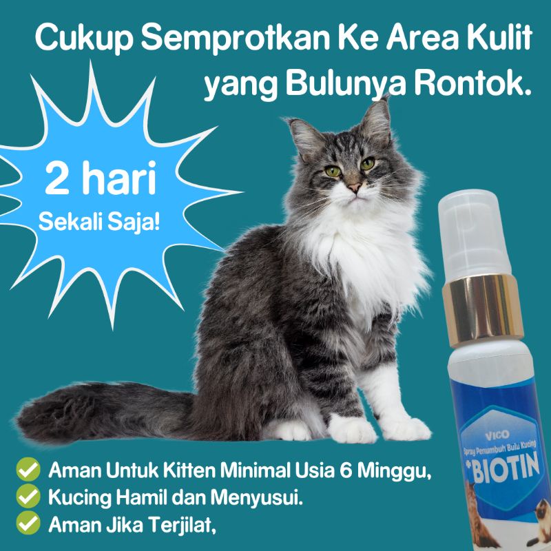 Obat penumbuh bulu kucing Vico BIOTIN Spray vitamin melebatkan bulu kucing tumbuh lebat sehat dan mengatasi bulu rontok akibat jamur dan kekurangan nutrisi bulu anak kucing aman ampuh cepat mudah