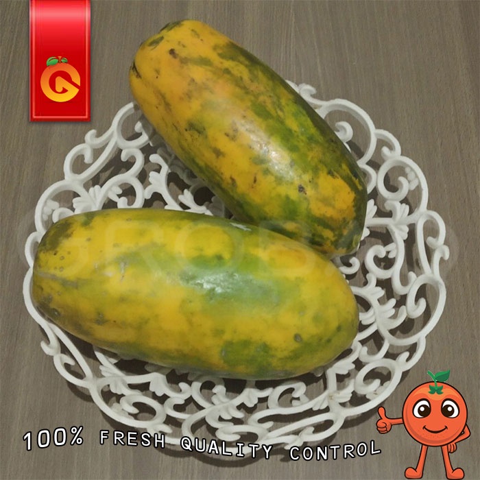 

BUAH PEPAYA CALIFORNIA FRESH DAN MANIS UKURAN KECIL
