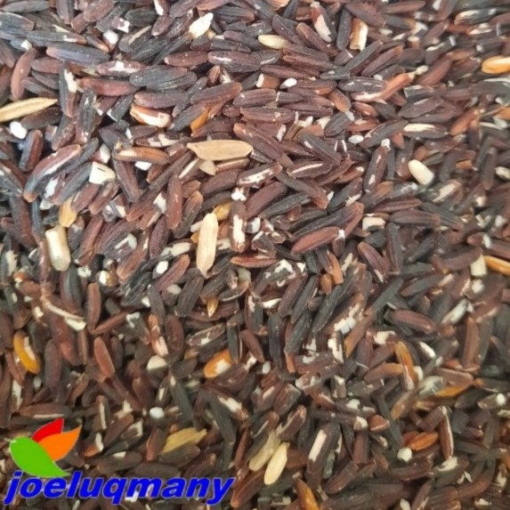 

Joeluqmany Beras Hitam Curah 100 Gram