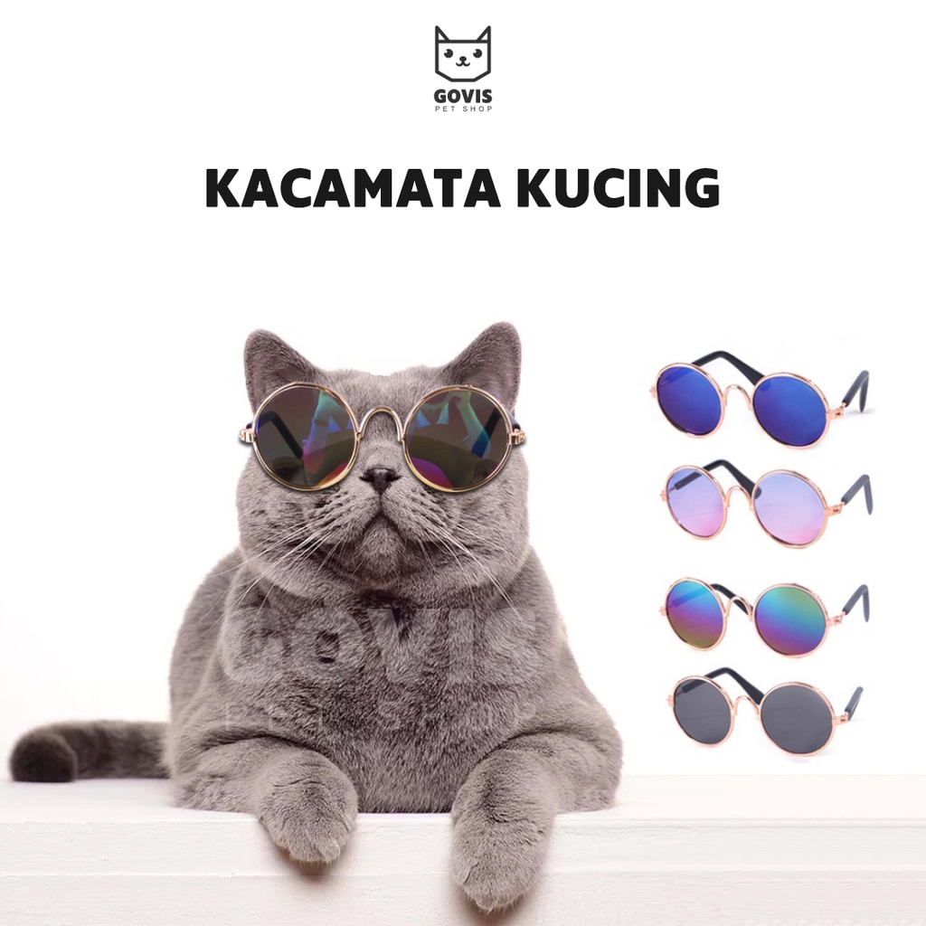 Govis Kacamata Kucing Aksesoris Hewan Peliharaan Lucu