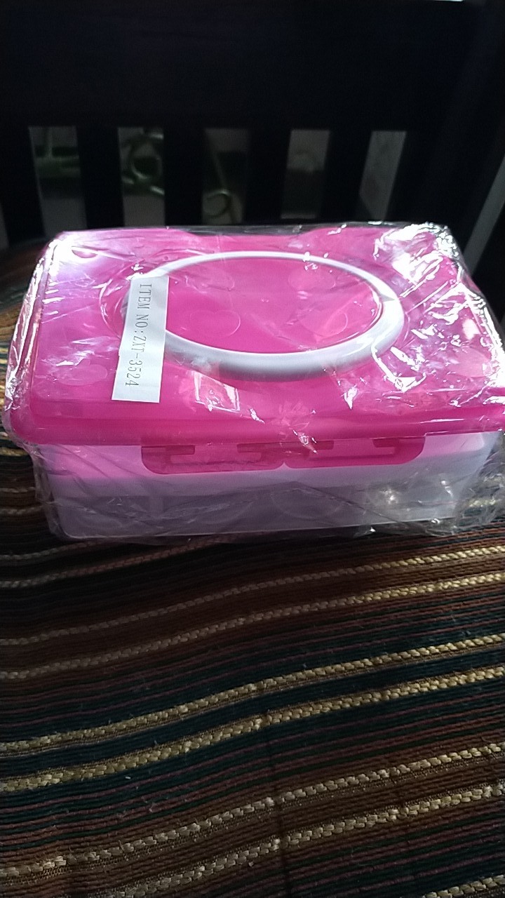 Box Telur Isi 24 Butir Tempat Penyimpan Telur Handle