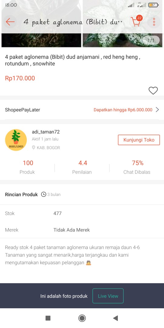 4 Paket Aglonema (bibit) Dud Anjamani , Red Heng Heng , Rotundum , Snowhite