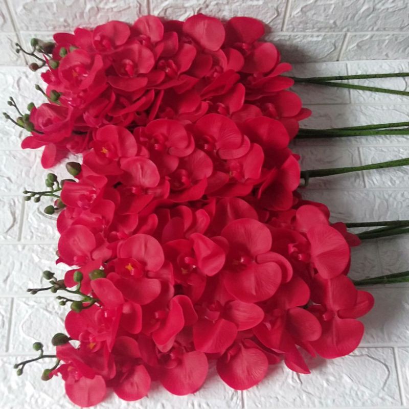 anggrek latex super premium import//anggrek latek jumbo super premium/anggrek merah arteficial super