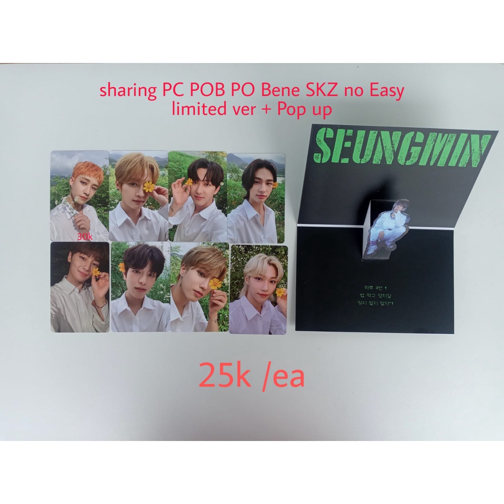 ( READY ) OFFICIAL PHOTOCARD PC POB PREORDER BENEFIT STRAY KIDS STRAYKIDS SKZ NO EASY NOEASY LIMITED