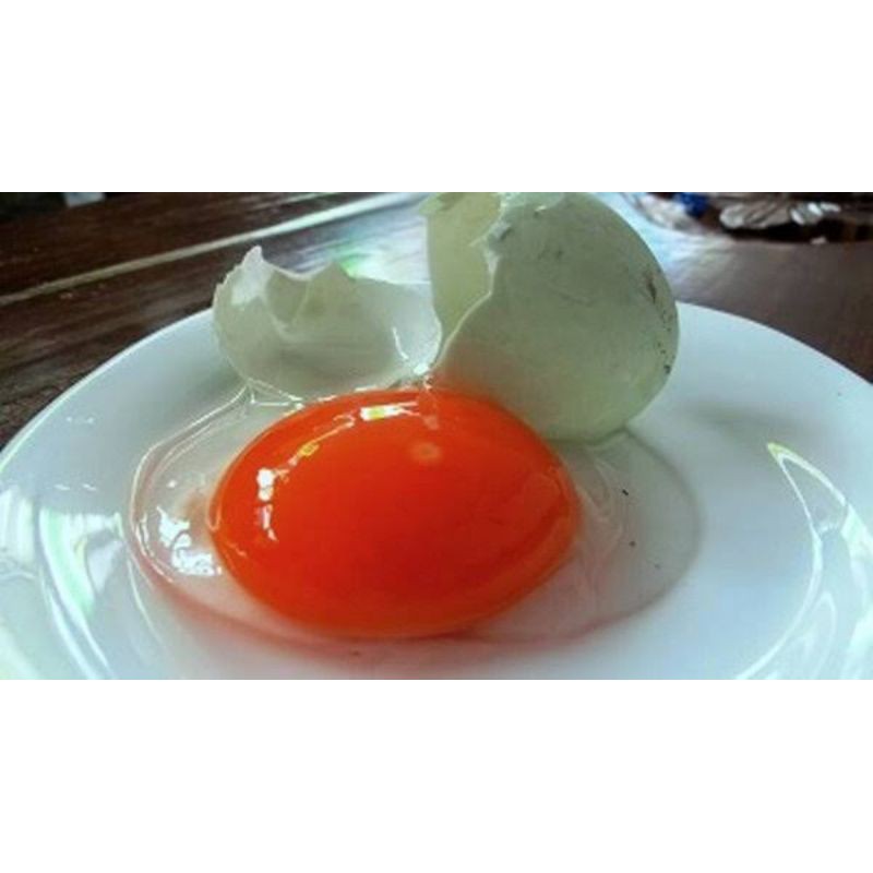 

Telur bebek organik mentah