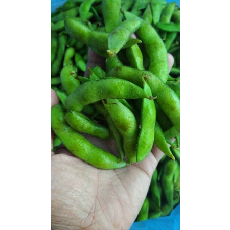 Kacang Edamame Kedelai Jepang / Edamame Fresh / Edamame Mentah 1 KG