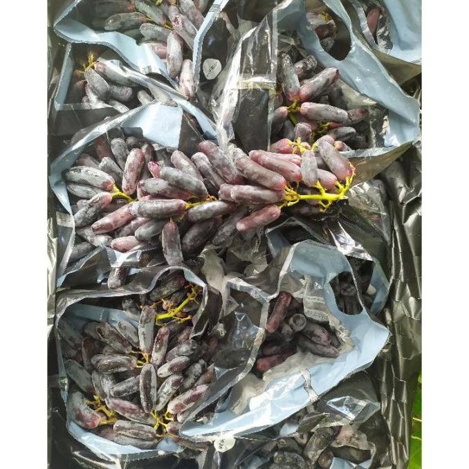

Australian Sweet Saphire ( Anggur Hitam Lonjong Tanpa Biji ) 1kg