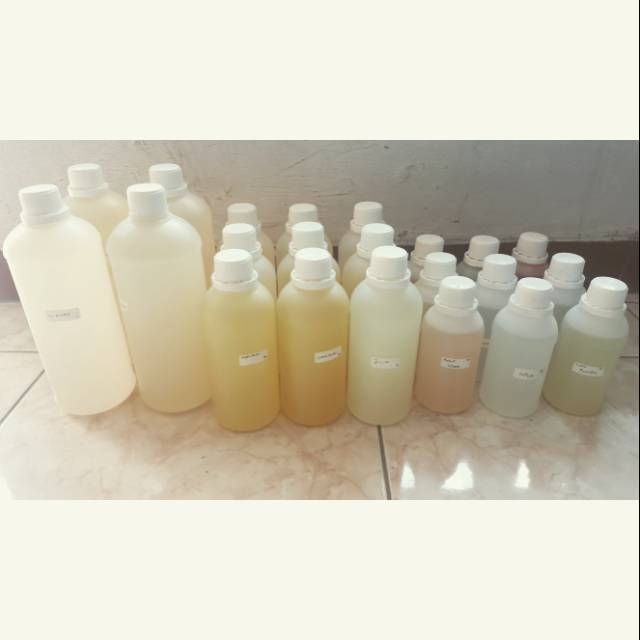Bibit minyak wangi.