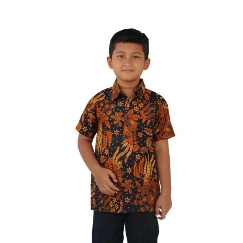 Kemeja Batik Anak - batik anak - baju batik anak laki laki umur 2-12 tahun hem batik anak pendek