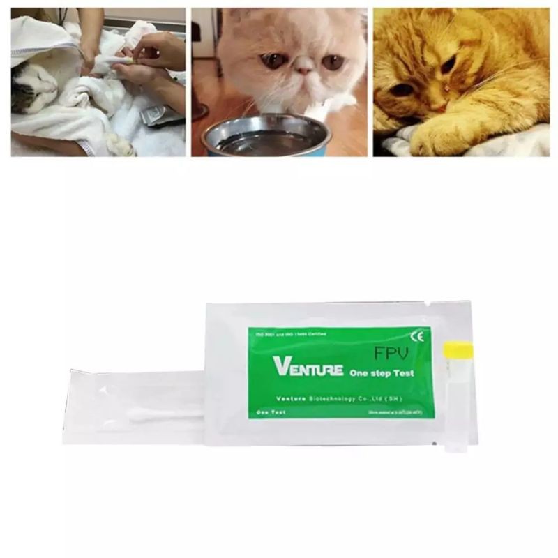 FELINE PANLEUKOPENIA  (FPV), FELINE CORONA VIRUS (FCoV), GIARDIA