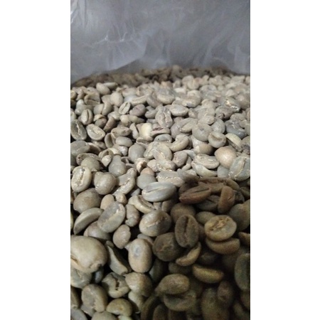 

greenbean Arabika asalan sortasi