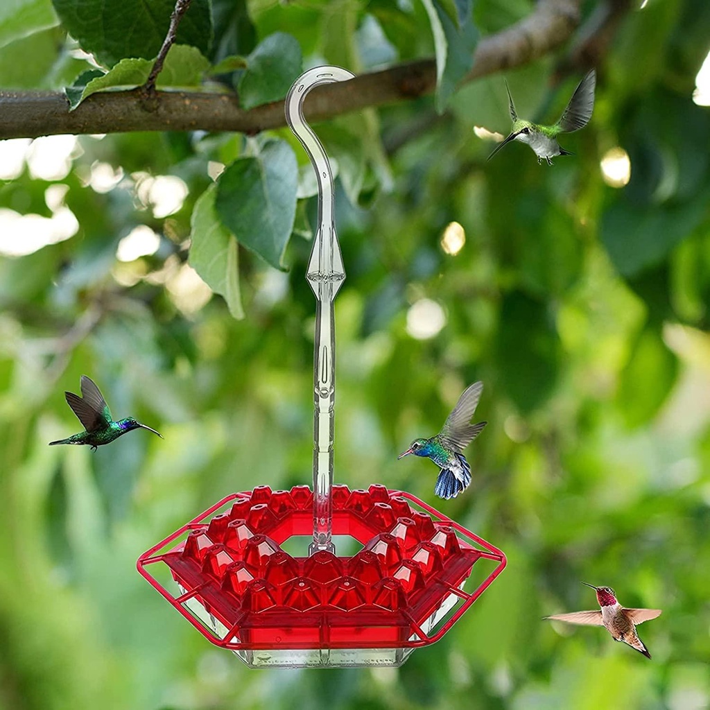 Solighter Hummingbird Feeder Wadah Baru Gantung Mudah Dibersihkan Perlengkapan Burung