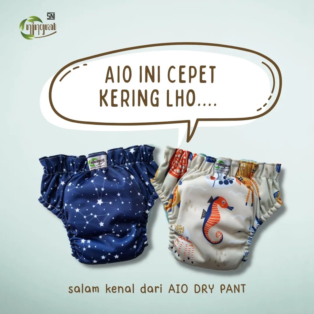 Clodi Ningrat Popok Kain Celana Cuci Ulang Modern Dry Pants Insert AIO All in One Clodi Ningrat AIO Standart/Reguler BB 5-15 kg