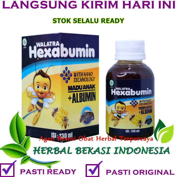 

BISA COD Walatra Hexabumin Obat Penambah Napsu Makan Anak - Patriot Herbal /OBAT HERBAL ASAM URAT/OBAT HERBAL PELANGSING/OBAT HERBAL KOLESTEROL/OBAT HERBAL DIABETES