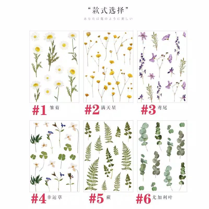 

STICKER FLOWER TRANSFARAN