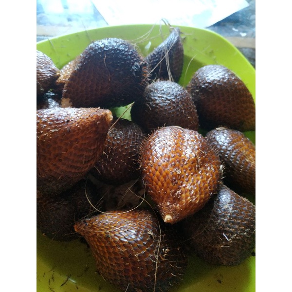 

salak pondoh madu