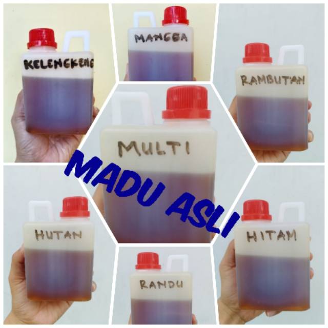 

Madu asli murni hutan multiflora murah original kemasan hemat hitam lebah super enak randu honey